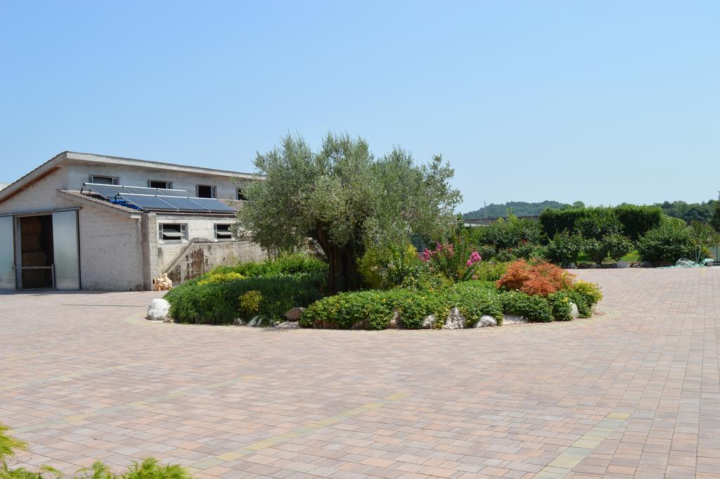 Agriturismo Ca' Del Gal 발레지오술민쵸 외부 사진